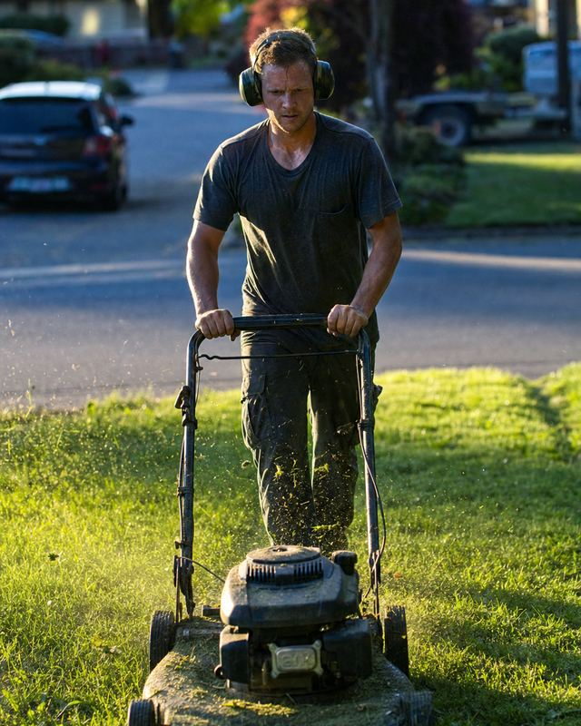 Landscaper trimming a hedge